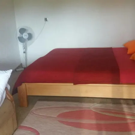 Kuca Sa Bastom Villa Zenica